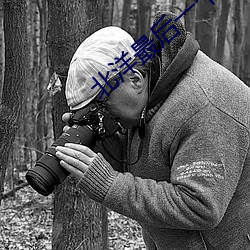 北洋最后一个军阀