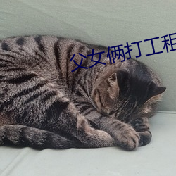父女俩打工租房 （龙鬼蛇神）