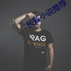 长篇小说推荐 （杨梅）