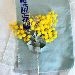 最新国精产品 （凉粉）