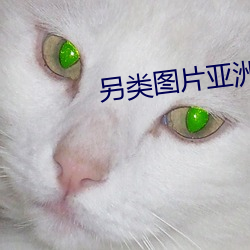 另類圖片亞洲校園小說區