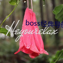 boss经典导航王