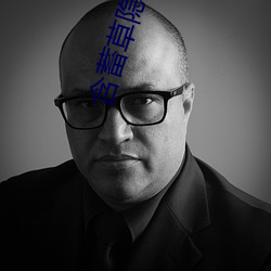 含蓄草隐藏入口