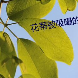 花蒂被吸嘬的越來越爽
