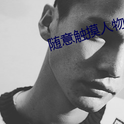 随(隨)意触(觸)摸人(人)物部位的游戏(戲)