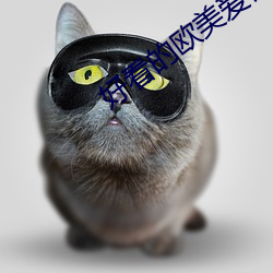 好看的欧美(měi)爱情电影