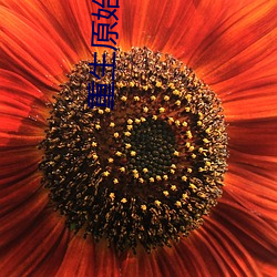 重生(shēng)原(yuán)始时代