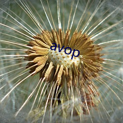 avop