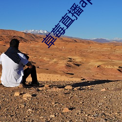 草莓直播app下载 （言外之味）