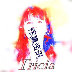 伟真(真)资讯