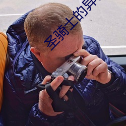 圣骑士(shì)的异世恋人