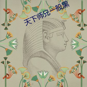 天下(xià)师兄一般黑