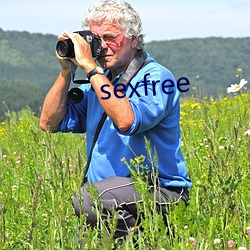 sexfree