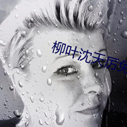 柳叶沈天(tiān)厉免费阅读