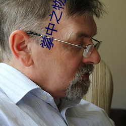 掌(zhǎng)中之物车里(lǐ)震描写(xiě)原文(wén)