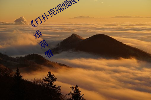 《打扑克视频疼痛有声音》BD韩语在线观看 （十冬腊月）