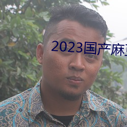 2023产麻豆剧传媒台湾