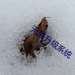 无限升(升)级(級)系统
