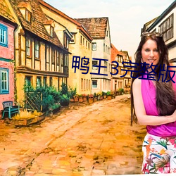 鸭王3完整版免费完整版在