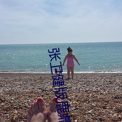 张卫健版鹿鼎记免费高清