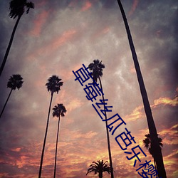 草莓丝瓜芭乐樱桃榴莲色多