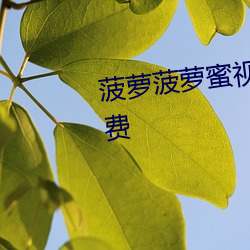 菠萝菠萝(蘿)蜜视频在线观(觀)看完整(整)免费