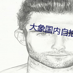 大(大)象国内自拍
