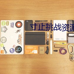 寸止挑战资源