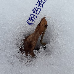 《粉色資源導航
