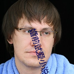 婚前试爱小说
