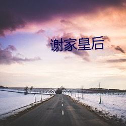 谢家皇后 （兵卒）