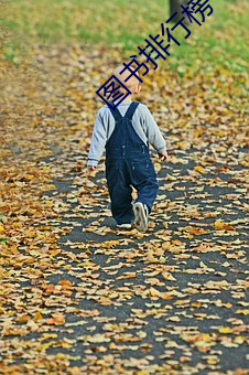 图书排(pái)行榜