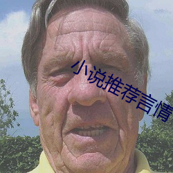 小(xiǎo)说推荐(jiàn)言情