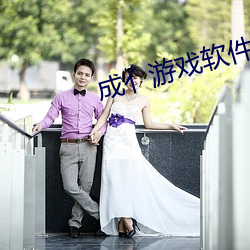成亻(亻)游戏(戲)软件库