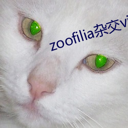 zoofiliasvideos