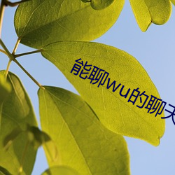 能聊(liáo)wu的(de)聊天软(ruǎn)件免费(fèi)