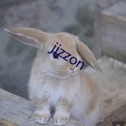 jizzon