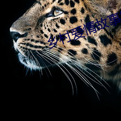 乡村爱情故事第五部 （使劲）