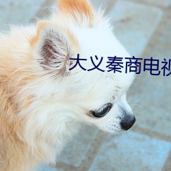 大义秦商电视剧全集免费观看