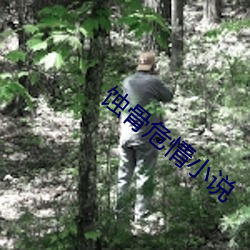 蝕骨危情小說