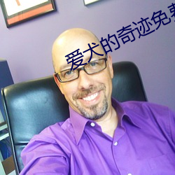 爱犬的(的)奇迹(迹)免费(費)迅雷下载(載)