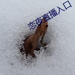 金年会 | 诚信至上金字招牌