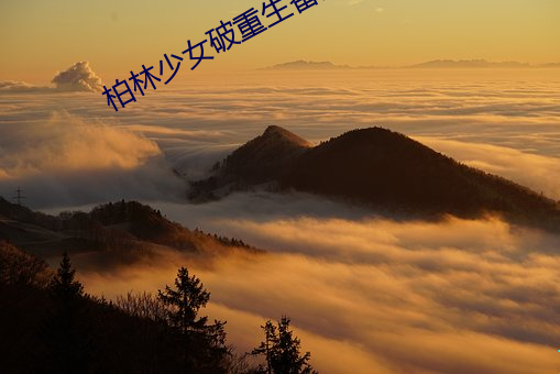 柏林少女破重生番外 （渔翁得利）