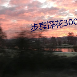 步宾探花3000元 （榆叶梅）