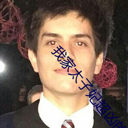 我(我)家(家)太子妃超凶的