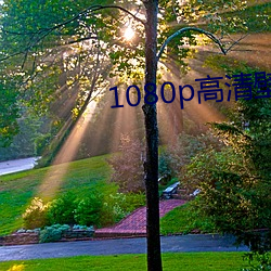 金年会 | 诚信至上金字招牌