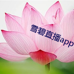 雪碧直播app下載2021