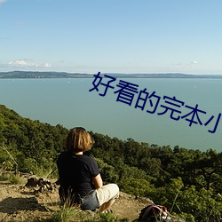好(好)看的完(完)本小(小)说