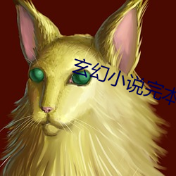 玄幻小说完本
