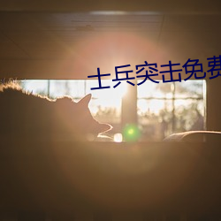士(士)兵突(突)击免费观看完整版(版)